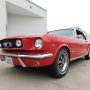 Used Mustang For Sale Used Mustang For Sale