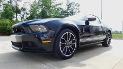 2014 Ford Mustang GT 795-CHA For Sale on UsedMustangsForSale.com Used Mustang For Sale