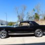Used Mustang For Sale