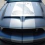 Used Mustang For Sale Used Mustang For Sale