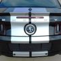 Used Mustang For Sale Used Mustang For Sale