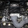 Used Mustang For Sale Used Mustang For Sale