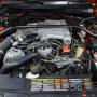 Used Mustang For Sale Used Mustang For Sale