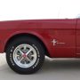 Used Mustang For Sale Used Mustang For Sale