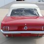 Used Mustang For Sale Used Mustang For Sale