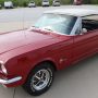 Used Mustang For Sale Used Mustang For Sale