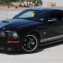 Used Mustang For Sale Used Mustang For Sale
