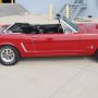 Used Mustang For Sale Used Mustang For Sale