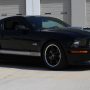 Used Mustang For Sale Used Mustang For Sale