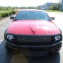 Used Mustang For Sale Used Mustang For Sale