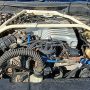 Used Mustang For Sale Used Mustang For Sale