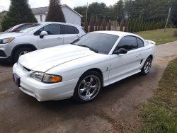 Used Mustang For Sale
