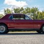 Used Mustang For Sale