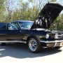 Used Mustang For Sale