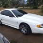 Used Mustang For Sale