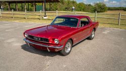 Used Mustang For Sale