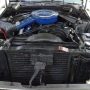 Used Mustang For Sale Used Mustang For Sale