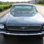 Used Mustang For Sale
