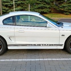 Used Mustang For Sale