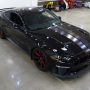Used Mustang For Sale Used Mustang For Sale