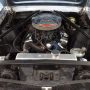 Used Mustang For Sale Used Mustang For Sale