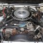 Used Mustang For Sale Used Mustang For Sale